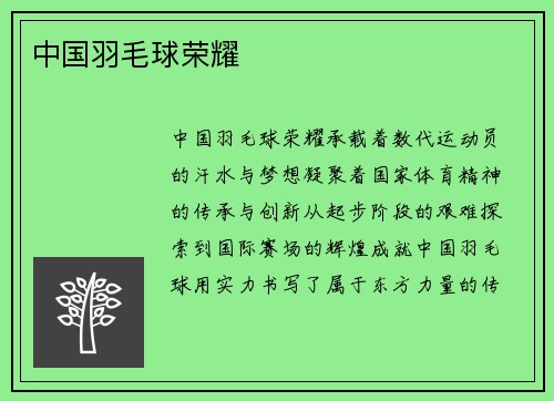 中国羽毛球荣耀